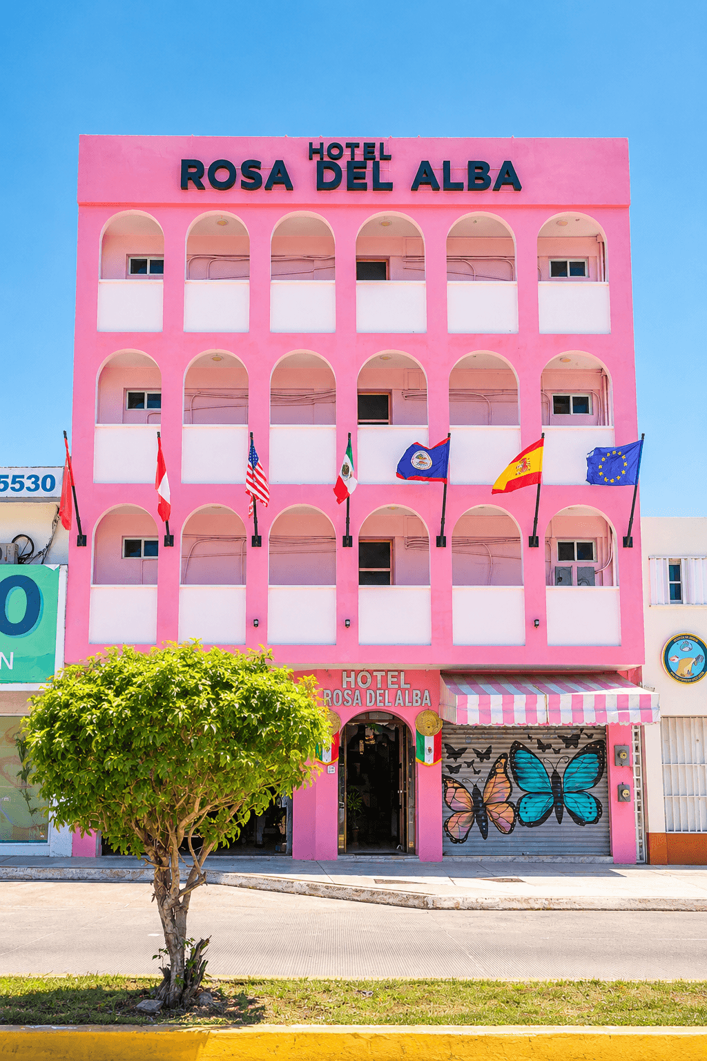 Hotel Rosa del Alba imagen 3